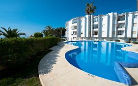 Palmeras 80 Menyber